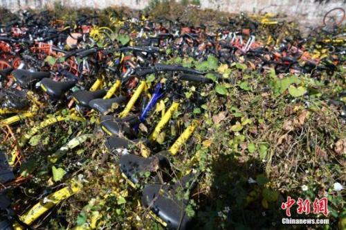 资料图:数百辆共享单车被荒草“掩埋”。<a target='_blank' data-cke-saved-href='http://www.chinanews.com/' href='http://www.chinanews.com/'>中新社</a>记者 任东 摄 资料图:数百辆共享单车被荒草“掩埋”。<a target='_blank' data-cke-saved-href='http://www.chinanews.com/' href='http://www.chinanews.com/'>中新社</a>记者 任东 摄