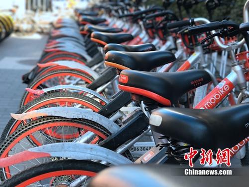资料图:清一色的摩拜单车。<a target='_blank' data-cke-saved-href='http://www.chinanews.com/' href='http://www.chinanews.com/' >中新网</a> 吴涛 摄 资料图:清一色的摩拜单车。<a target='_blank' data-cke-saved-href='http://www.chinanews.com/' href='http://www.chinanews.com/' >中新网</a> 吴涛 摄