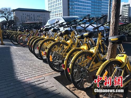 资料图:成排的共享单车在路边停放。<a target='_blank' data-cke-saved-href='http://www.chinanews.com/' href='http://www.chinanews.com/' >中新网</a> 吴涛 摄 资料图:成排的共享单车在路边停放。<a target='_blank' data-cke-saved-href='http://www.chinanews.com/' href='http://www.chinanews.com/' >中新网</a> 吴涛 摄