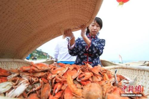资料图:螃蟹等海鲜走入寻常百姓家。<a target='_blank' data-cke-saved-href='http://www.chinanews.com/' href='http://www.chinanews.com/'>中新社</a>记者 杨兵 摄 资料图:螃蟹等海鲜走入寻常百姓家。<a target='_blank' data-cke-saved-href='http://www.chinanews.com/' href='http://www.chinanews.com/'>中新社</a>记者 杨兵 摄